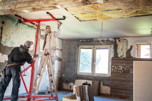 Best Commercial Insulation in Eastwood, LA